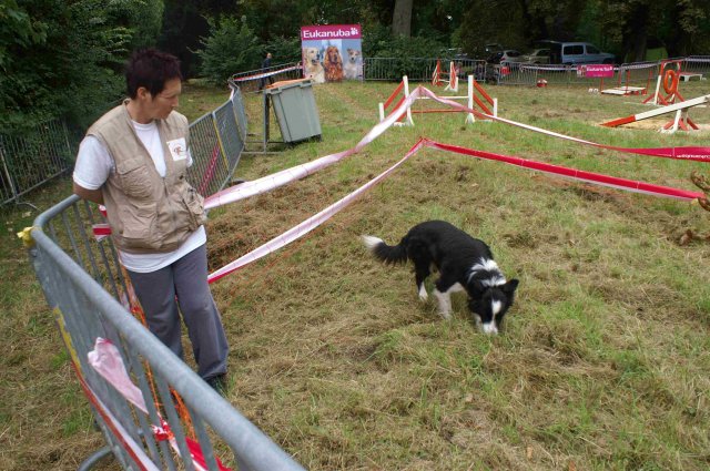 foire-haricots 2011-09-17et18